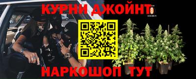 прущие крисы Лесосибирск