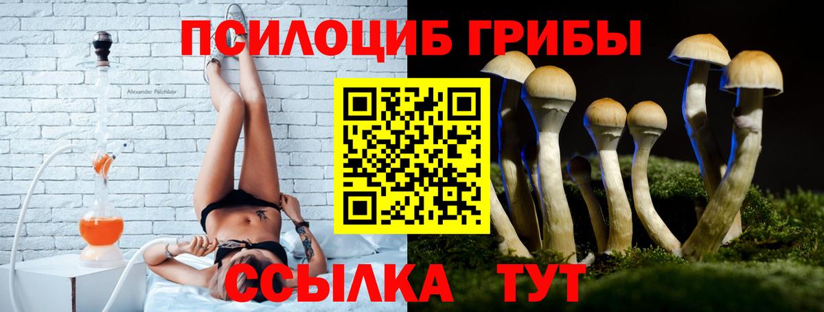 Галлюциногенные грибы прущие грибы  Галлюциногенные грибы GOLDEN TEACHER  Ефремов  Вход с VPN 